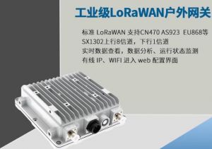 LoRaWAN室外网关,16个LoRa通道，具有以太网功能